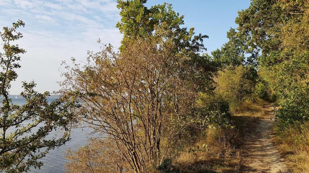 Ferienwohnung Seeblick Altefähr Buitenkant foto